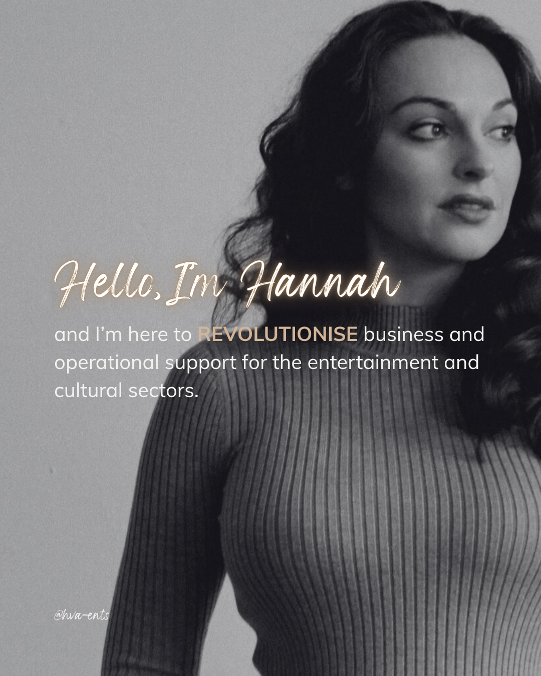 business management, virtual assistance, outsourcing, entertainment, cultural sector, strategic support